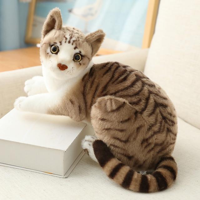 Cat Plush Toys - TryKid
