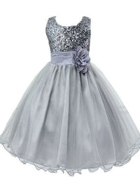 Baby Sequin Dress Flower Girl Wedding Princess Dress - TryKid
