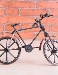 Bicycle Model Ornaments
