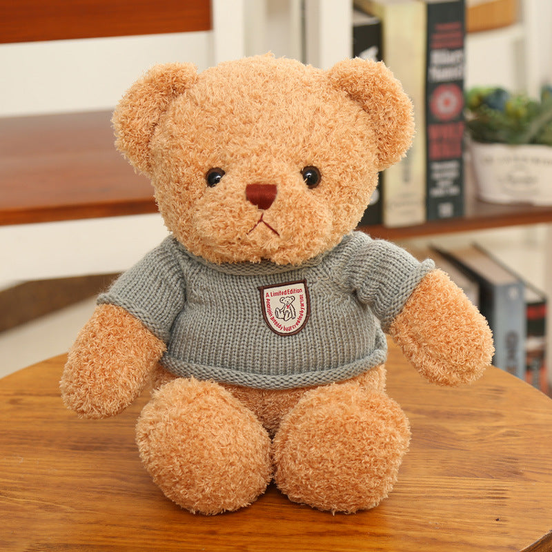 Teddy bear hug bear plush toy bear cub - TryKid