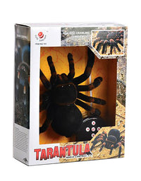 Spider Toy - TryKid
