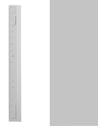 Primary School Children's Ruler Plastic Stainless Steel - TryKid
