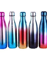 stainless steel water bottle
