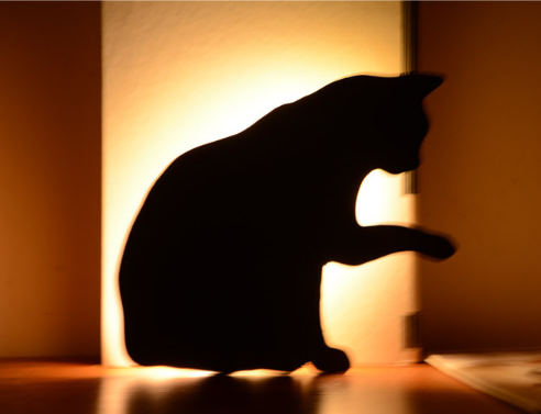 LED Animal Dog Cat Shape Night Light Sensor Control Smart Sound Wall Lamp Home Corridor Balcony Night Lamp Baby Kids Sleep Lamps - TryKid
