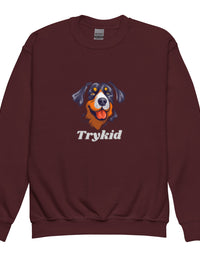 Youth crewneck sweatshirt - TryKid
