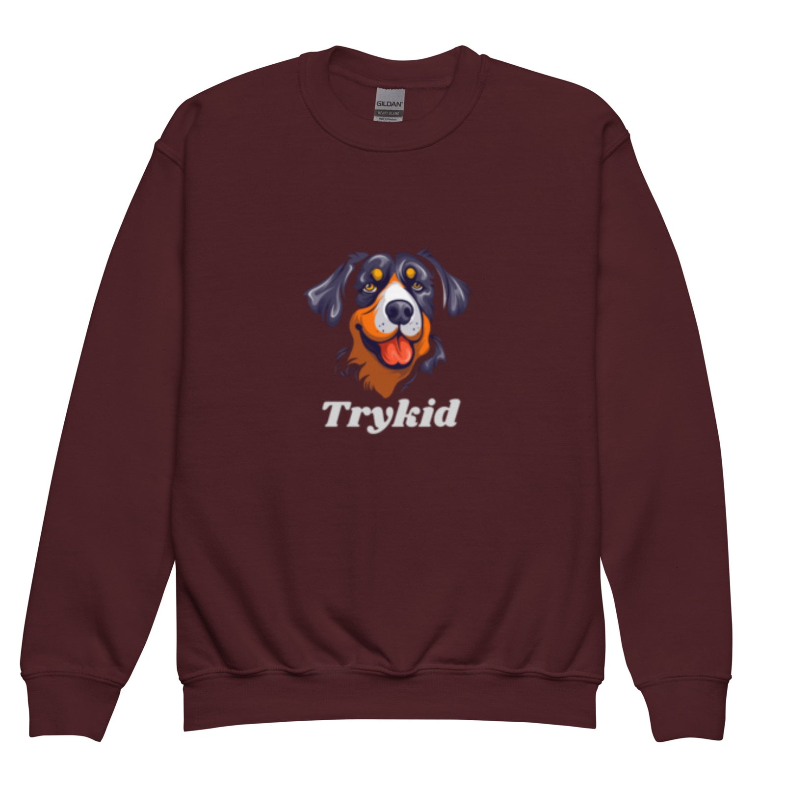 Youth crewneck sweatshirt - TryKid