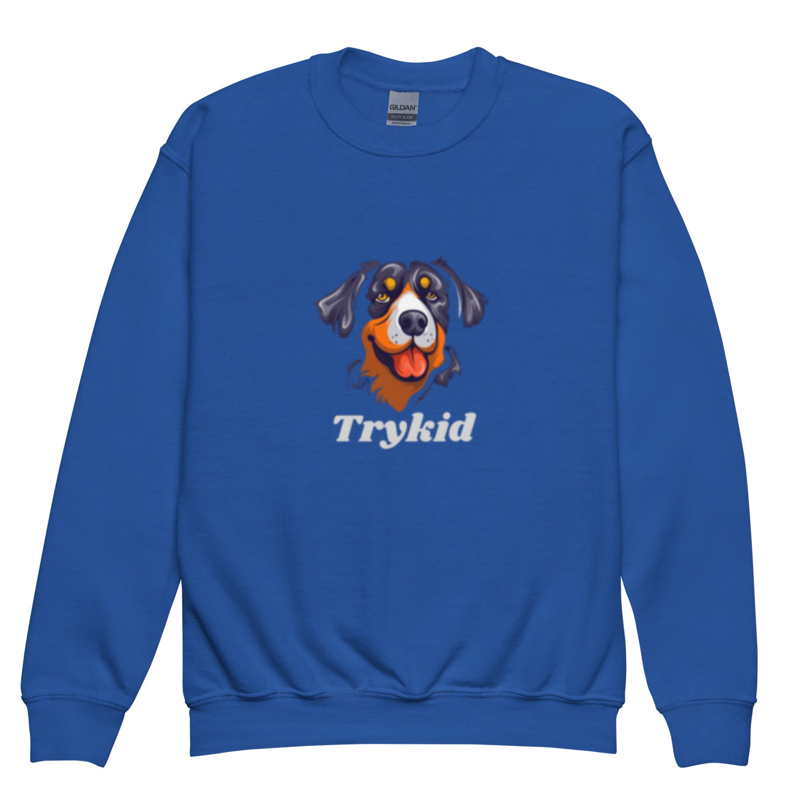 Youth crewneck sweatshirt - TryKid