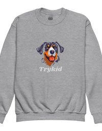 Youth crewneck sweatshirt - TryKid
