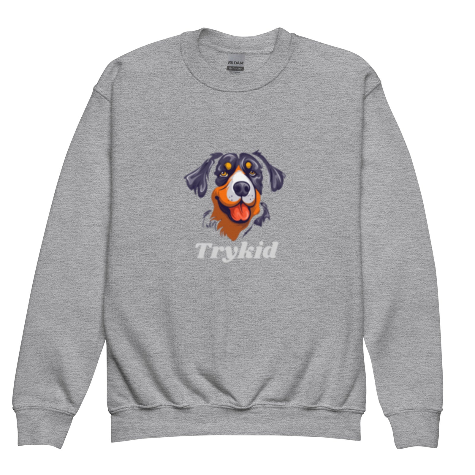 Youth crewneck sweatshirt - TryKid