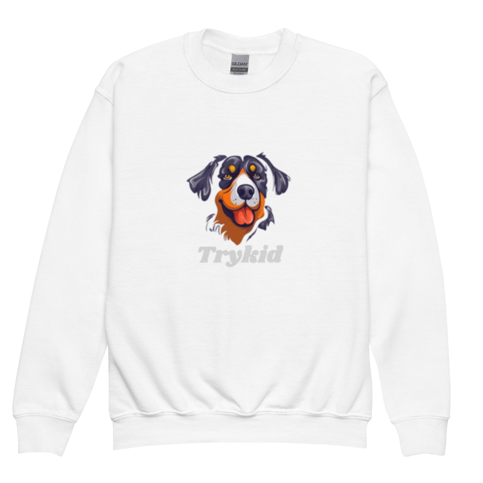 Youth crewneck sweatshirt - TryKid